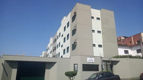Ribeirão Preto - Vila Monte Alegre - Apartamentos - Apartamento - Locaçao