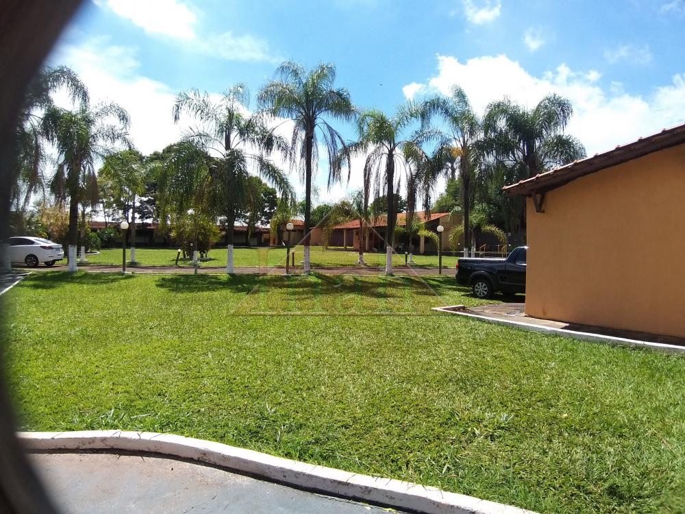 Alugar Casas / condomínio fechado em Ribeirão Preto R$ 5.000,00 - Foto 21