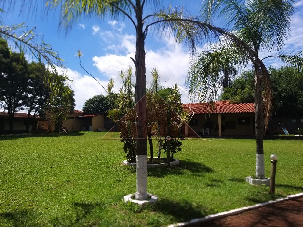 Alugar Casas / condomínio fechado em Ribeirão Preto R$ 5.000,00 - Foto 34