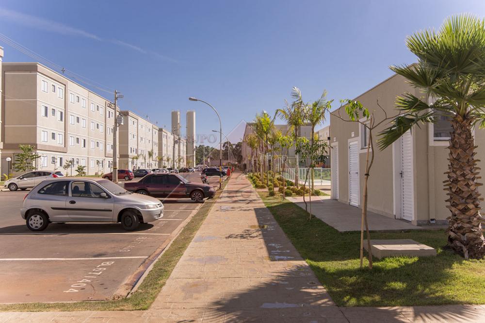 Alugar Apartamentos / Apartamento em Ribeirão Preto R$ 650,00 - Foto 14