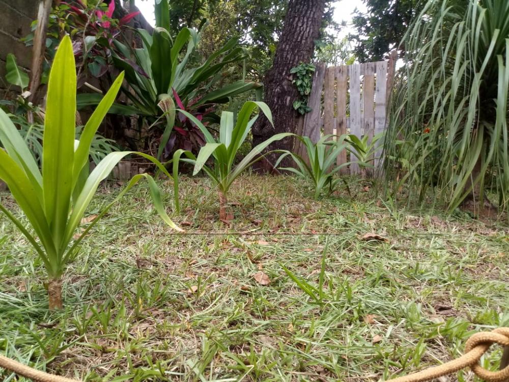 Comprar Casas / Casa em Serra Azul R$ 155.000,00 - Foto 13
