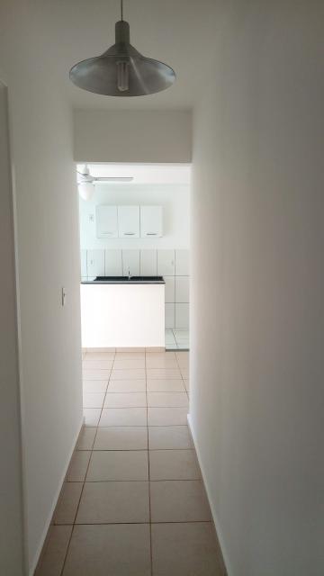 Alugar Apartamentos / Apartamento em Ribeirão Preto R$ 700,00 - Foto 14