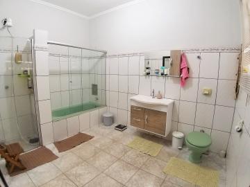 Alugar Casas / Sobrado em Ribeirão Preto R$ 1.000,00 - Foto 24