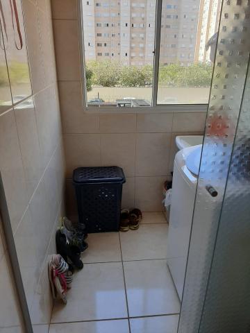 Apartamentos / Apartamento em Ribeirão Preto 