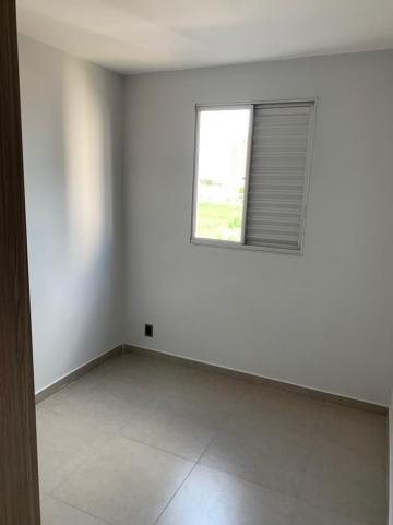 Apartamentos / Apartamento em Ribeirão Preto 