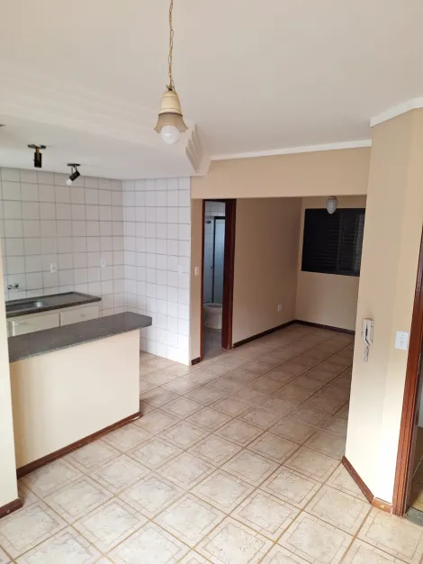 Ribeirão Preto - Jardim Palma Travassos - Apartamentos - Kitchnet - Locaçao