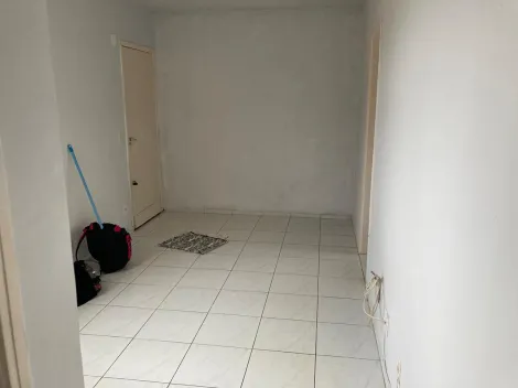Ribeirão Preto - Jardim Sumaré - Apartamentos - Apartamento - Venda