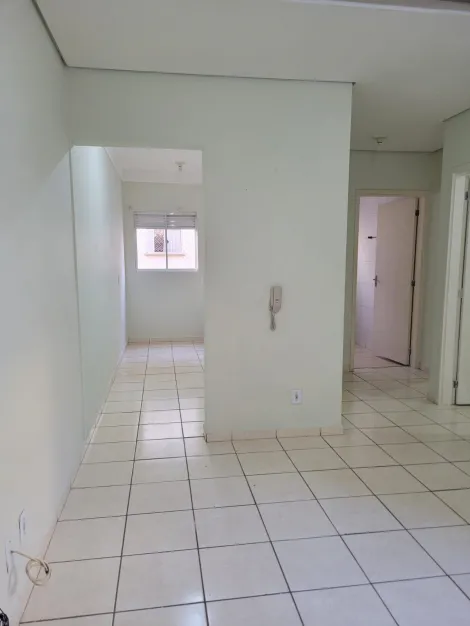 Ribeirão Preto - Quintino Facci II - Apartamentos - Apartamento - Locaçao