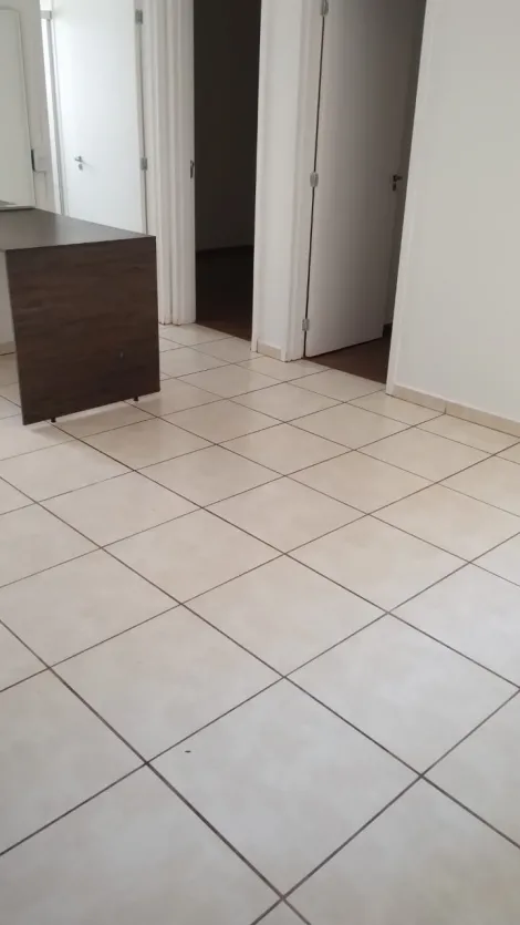 Ribeirão Preto - Jardim Heitor Rigon - Apartamentos - Apartamento - Locaçao